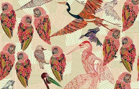 PENCIL BIRDS 2016