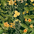   Mind the Gap WP20322 mimulus Anthracite (2)